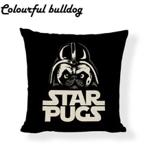 Load image into Gallery viewer, Indoor pillow set, cute shape, can fit exercise cushion
