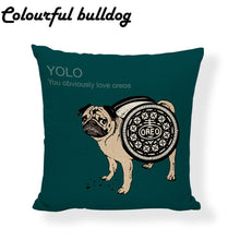 Load image into Gallery viewer, Indoor pillow set, cute shape, can fit exercise cushion
