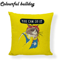 Load image into Gallery viewer, Indoor pillow set, cute shape, can fit exercise cushion
