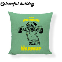 Load image into Gallery viewer, Indoor pillow set, cute shape, can fit exercise cushion
